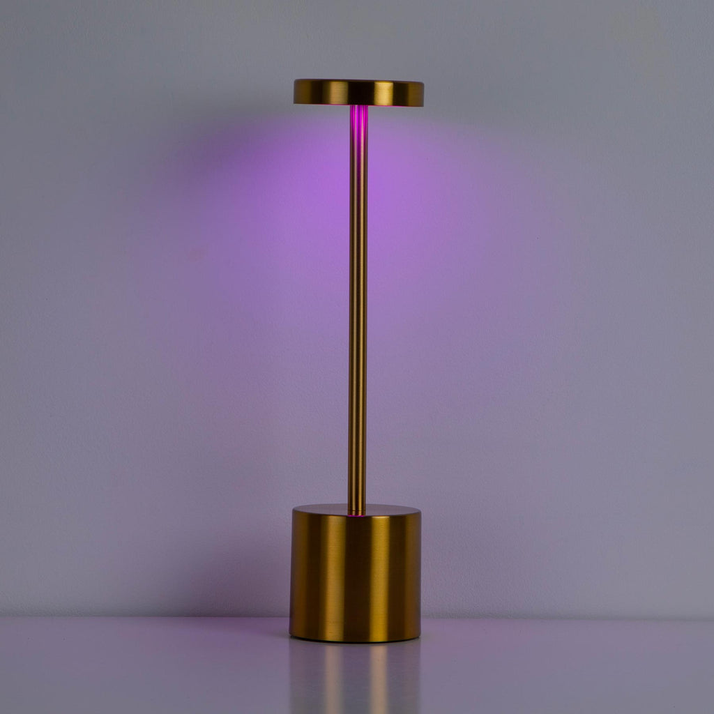 Metal LED Touch Lamp
