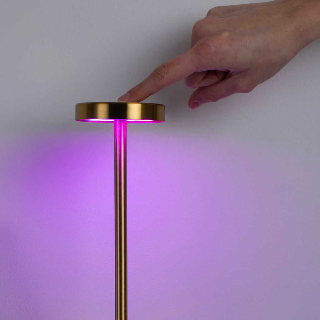 Metal LED Touch Lamp