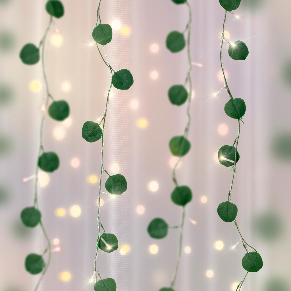 Eucalyptus Curtain Vines