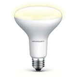 Smart Wi-Fi BR30 Bulb - White